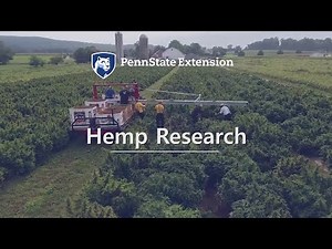 Hemp Research
