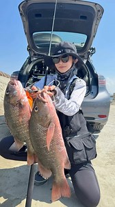 66K views · 487 reactions | Rod: 臺灣酷影Kuying Fishing Taiwan 總代理沅流企業社 逐浪行者 GDS-965H Reel: shimano TPSW6000xg Line: 丰山FENGSHAN 丰潮粉3號 Leader: Amika co. 鮪騷#5 Lure: Chenyu Lin BTAB紅頭白身米諾 騎了30公里 ！ 終於解鎖心跳一百的紅色閃電 #釣魚 #路亞 #岸拋 #fish #fishing #fishinglife #lure #紅槽 #丰潮粉 #amika #酷影 #多節竿 #關於怕水怕魚的 | Rou Lin | Facebook