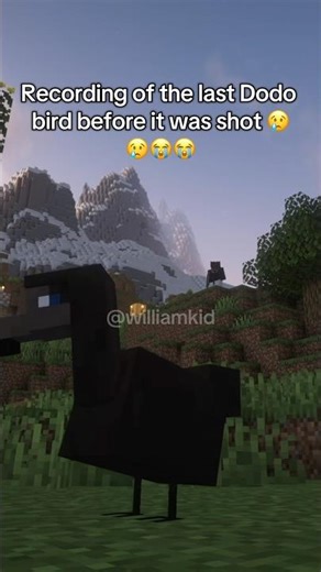 Last dodos sound 💔