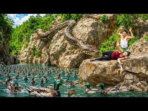 72 Hours Of Terror: Giant Python Ambushes Girl Catching Wild Ducks In The Forest!