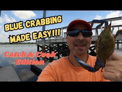 Simple Way to Catch Blue Crabs | From Dock to Dinner!