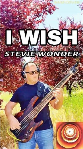 I wish - Stevie Wonder (bass cover)