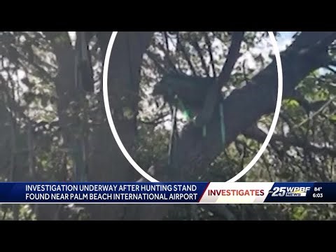 Python Cowboy says tree stand facing Air Force One’s runway may have been there for two years