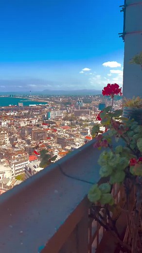L’une des plus belles vues dans alger ✨❤️#fyp #dz #algeria🇩🇿 #explor