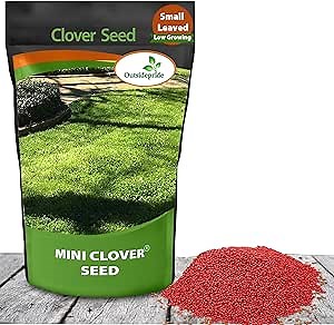 Outsidepride Perennial White MiniClover Seed - 5 lb. Dwarf, Small-Leaved, Drought & Wear-Tolerant Micro Clover Seeds for Lawn, Ideal Low-Maintenance & Easy to Grow Ground Cover Seeds for Home Yard