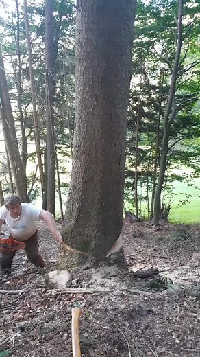 @de_soph_ausn_tiroi des woas mit da buache💁‍♂️😂