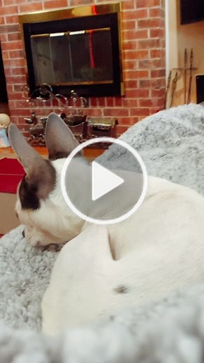 Double Sided Business Card Design in Microsoft Word 2021 || MS Word Visiting Card [AR MULTIMEDIA]