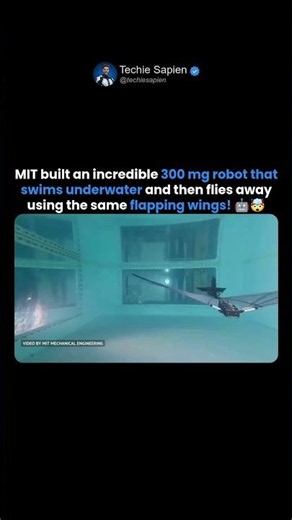 MIT's Tiny Robot Swims Underwater Then Flies Away Using the Same Wings! 🤖🤯