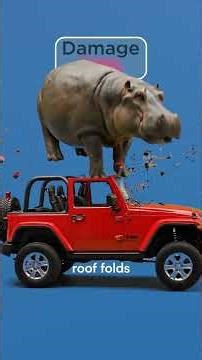 Which Car Survives a Falling Hippo?