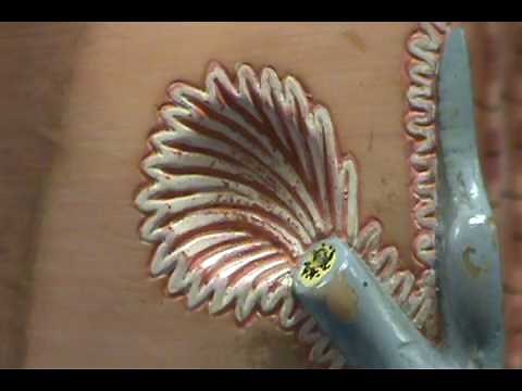 Skeletal Muscle Fiber Model - Neuromuscular Junction