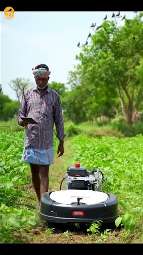 farms embrace robotic weed removal