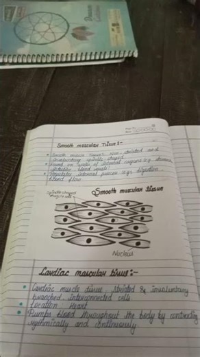 #NCERT #class #9th #Biology #chapter #Tissue #notes #shorts