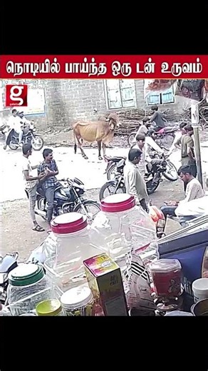 Bike ல் அமர்ந்திருந்த இளைஞர்க்குக்கு காத்திருந்த shock அடுத்த நொடி இப்படி ஆகும்ன்னு யாரும் நெனச்ச