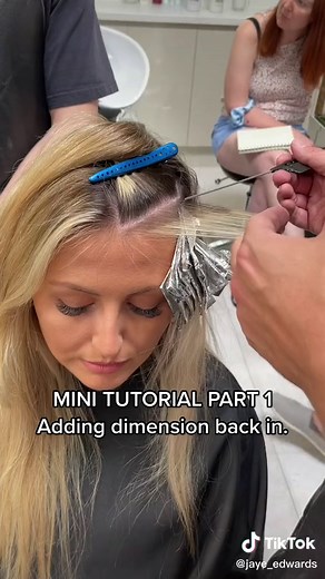 How to Add Lowlights to Blonde Hair | DIY Tutorial Part 1