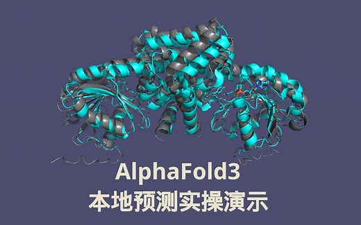 alphafold3本地运行实操演示01:官方示例 个人示例实操