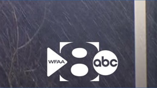 7.2K views · 46 reactions | Winter sights and sounds | WFAA | Facebook