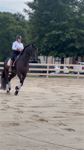 197 reactions · 13 comments | 濾Unicorn Alert 濾 Here is an...