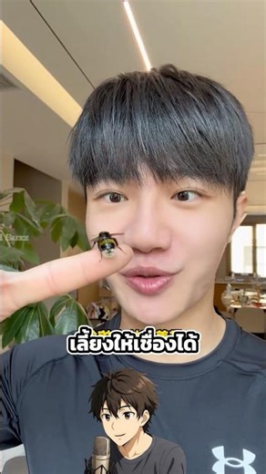 This man can tame bees. 🐝