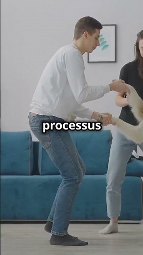 The Mating Process in Dogs "Stages and Behaviors"