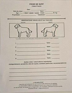 Grooming Log Sheet – Simple, Clear and Quick to Fill Out (printable PDF) - Etsy Canada