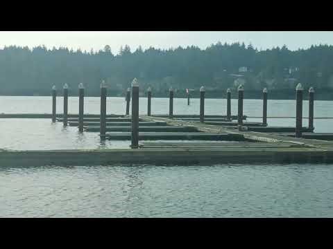 Romans. Chapter 4. Bible study.