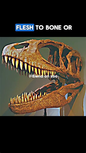 this is “Extinct But DEADLIER Than You Think” #facts #extinctanimals #animals