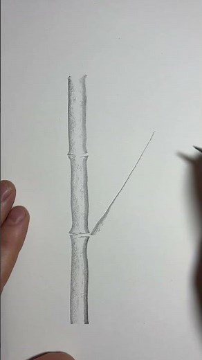 Simple pencil technique for drawing bamboo