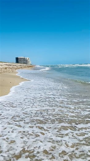 7.6K views · 143 reactions | Walk with me in paradise. Dollman Beach on Hutchinson Island. 冀️冀 #beachwalk #beachtherapy #hutchinsonisland #florida #beachlife #floridalife | Hutchinson Island Florida | Facebook