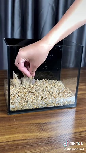 Mini Fish Tank Landscaping Ideas for Beautiful Aquariums