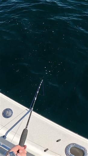 Massive Fish Caught During Offshore Kayak Fishing