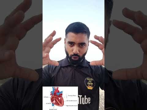 Conduction pathway of heart #class11biology