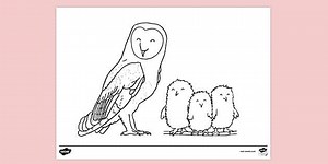 Owl Mother Colouring Page