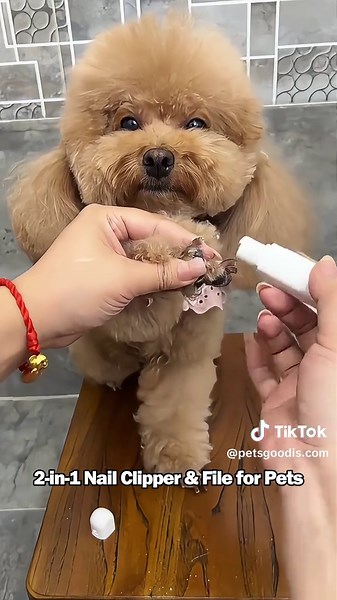 The 2-in-1 nail clipper & file for pets helps trim sharp nails and smooth edges in one step🐾#Mydog #PetPawPads