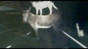 Memes Random #221 | Memes Random