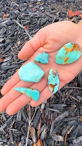 We Dug out some beautiful turquoise! Watch to the end and see some pieces after they were cabbed 🤩 Royston Turquoise 💙 | That Camping Couple