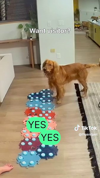 Cache's Heartfelt Gesture for Grandpa