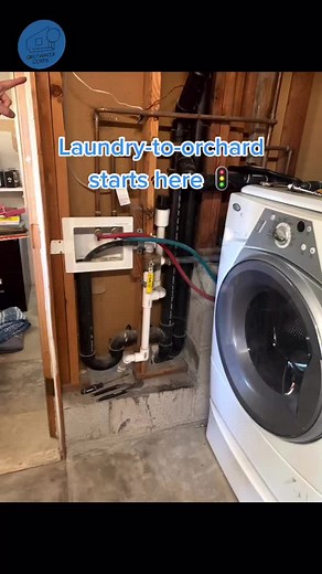 DIY Greywater Irrigation System: Laundry to Orchard Transformation