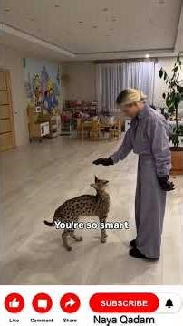 "I Trained a WILD AFRICAN SERVAL in My Living Room! 🐆 (Unreal Bond).This Bond is UNBELIEVABLE! 🐾"