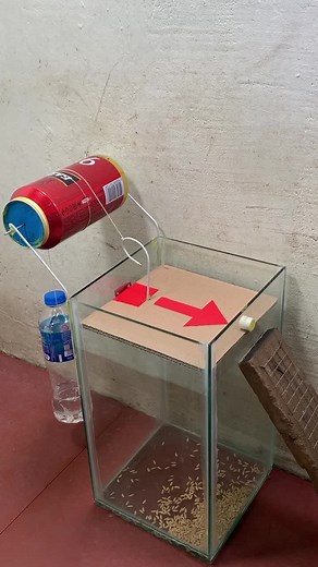 Best mouse traps // Best mouse trap ideas #trap #rattrap