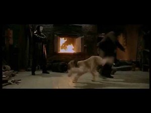 Karate Dog : premier combat de Cho-Cho (en français)