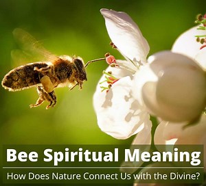Bee Spiritual Meaning: Symbolism & What It Means When Bees Land
