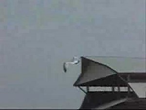 Spring Break along the Emerald Coast