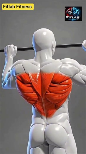 Build bigger back with pull ups #motivation #barbellsquat #shoulder