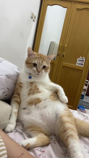 bos minta di puk’puk