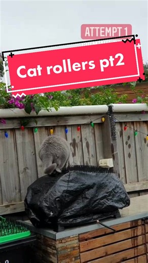 DIY Cat Fence Roller Tutorial | Renter-Friendly Enclosure