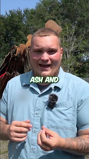 Pet-Friendly Turf Installation: Fresh Lawn with ZeoFill for Odor-Free Fun!