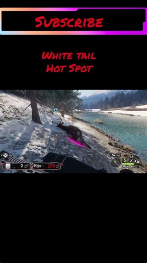 Whitetail Grinding Tips: 5 Costly Mistakes🦌😵😵‍💫