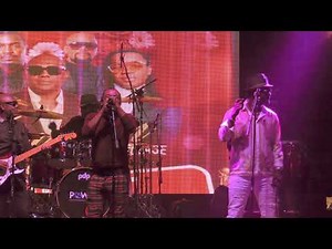 Zenglen Live 13 Fev 2026 WPB-----Fkd