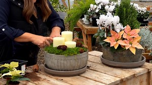 Planting 2 Holiday Centerpieces & Finishing the Eastside Pots for Winter! ❤️🌲❤️ | Garden Answer