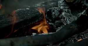 Charcoal Toothpaste Videos: Download 32+ Free 4K & HD Stock Footage Clips - Pixabay